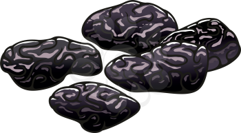 Dried plums prunes isolated sugared food sketch. Vector dry damson fruit, vegetarian snack