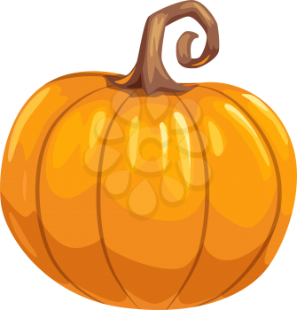 Pumpkin ripe gourd, fall harvest vegetable. Vector squash with stem, autumn food