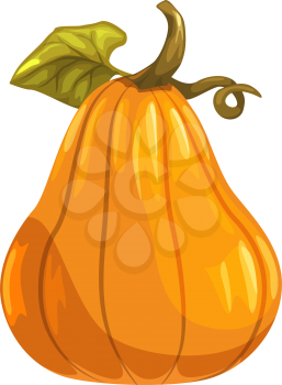 Pumpkin with stem isolated gourd vegetarian food. Vector autumn gourd, Halloween symbol