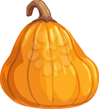 Autumn harvest isolated orange squash, Halloween symbol. Vector fresh vegetable, agriculture product