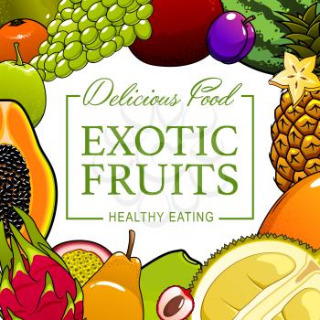 Tropical fruits and farm garden natural food poster. Vector juicy exotic multifruit pineapple, watermelon, papaya and guava, natural organic tropic durian and dragonfruit, plum, grapes and tangerine