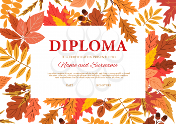 Diploma certificate with autumn leaves, vector template. Kindergarten, college or kid school diploma certificate, graduation and education training lessons achievement award with autumn foliage frame