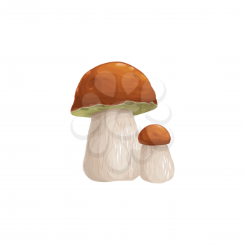 Mushroom icon, autumn and fall forest harvest food, vector isolated icon. Thanksgiving holiday and autumn nature mushroom cep, penny bun, porcino or porcini, cooking vegetable ingredient