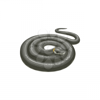 Snake icon, pest control extermination and disinfection service, isolated vector. Domestic pest control and snakes extermination, dangerous animals disinfestation and disinfection