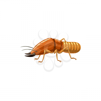 Termite icon, pest control insects disinsection and extermination, vector isolated. Termite insects pest control symbol, agrarian garden pesticide disinfection and domestic parasites disinfestation
