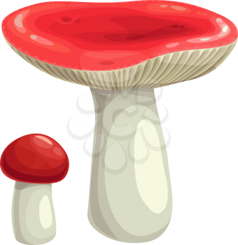 Mushroom russula vector icon. Cartoon autumn season symbol, vegetable or forest edible plant with red cap and white stipe botanical object isolated on white background