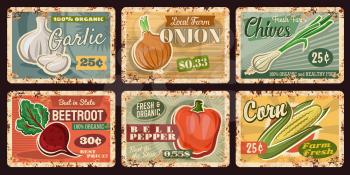 Farm vegetable rusty plates of vector bell pepper, onion, garlic, corn and beet with green leaves, husk and cloves. Vintage tin signboards with fresh organic veggies, farmer market and grocery design