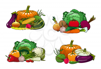 Vegetables, organic healthy farm food, carrot, green onion, tomato and beet. Vector vegetarian pumpkin, cucumber, broccoli and zucchini squash, vegan salad beetroot, radish, corn and cauliflower