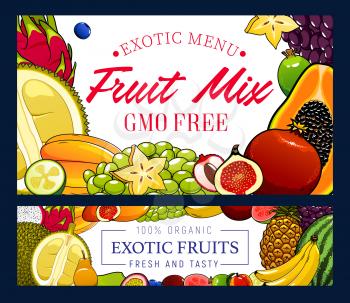 Tropical fruits and berries, GMO free vector food. Papaya, banana and pineapple, fig and durian, green and blue grape, watermelon, passion and dragon fruit, carambola and feijoa, peach and guava
