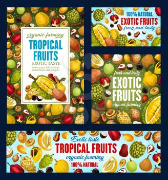 Tropical fruits, farm market organic natural food posters and banners. Vector exotic fruits harvest of pandanus, bergamot and longkong, durian and feijoa, tangerine citrus and jambolan tropic fruit