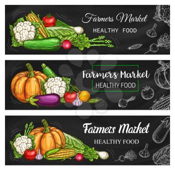 Healthy farm market vegetables and salads, vector chalk sketch banners. Healthy organic food, pumpkin, tomato and garlic, cauliflower and napa cabbage, zucchini squash, corn and green peas