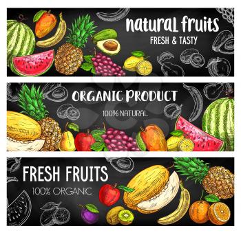 Farm, garden tropical fruits harvest, vector chalk sketch banners. Organic natural exotic pineapple, mango and avocado, watermelon, peach and orange citrus, melon, apricot, apple and grapes