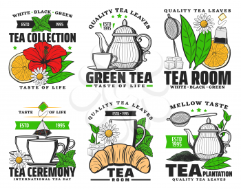 Herbal green, white and black tea vector icons. Tea ceremony teapot and cup porcelain, herbs and fruits taste drinks with lemon and mint, chamomile and hibiscus flowers, package emblems