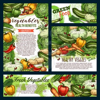 Green food, fresh vegetables and farm product frames sketches. Vector healthy veggies, carrot and cucumbers, pepper and zucchini. Onion and cauliflower, beans and peas legumes, cabbage and potato