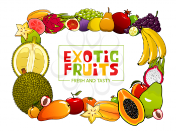 Exotic fruits frame fresh summer food. Vector papaya and starfruit, avocado and banana, grapes and pomegranate. Vegetarian food, jackfruit and fig, marang and star apple, granadilla and kiwano