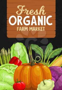 Vegetables, farm market vector poster with natural veggies harvest. Ripe squash and napa cabbage, tomato and pepper, corn, asparagus and pumpkin