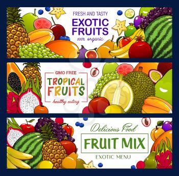 Fruits and berries vector banners. Tropical apple, banana and exotic papaya, grapes, pineapple and jackfruit, lychee, peach and feijoa, fig, watermelon, lemon and carambola banners