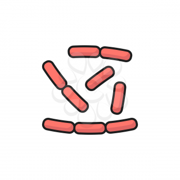 Lactobacillus microorganisms virus bacteria, probiotics isolated color line icon. Vector healthy organism chemical microbe, gastrointestinal therapy prebiotics. Bifidobacterium, positive bacterium