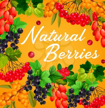 Berries and fruits, vector farm or garden food. Red and black currant branches, gooseberry, cranberry, barberry, sandthorn and viburnum bunches frame border with fresh berries and green leaves