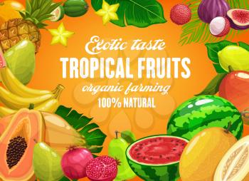 Tropical fruits vector pineapple, mango and banana, pomegranate and pear. Watermelon, guava, figs and carambola, lime, lemon and melon. Natural ripe fresh fruits, organic farming cartoon poster