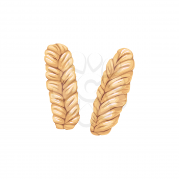 Melon dried fruits, dry food snacks and fruit sweets, isolated vector icon. Dried melon strips in braid, sweet dessert, natural organic dehydrated confections, fiber and protein food