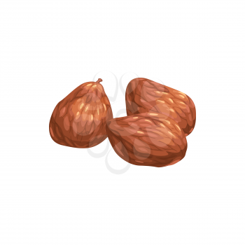 Persimmon dried kaki fruits, dry food snacks and fruit sweets, isolated vector icon. Dried persimmon kaki fruit, sweet dessert, natural organic dehydrated food