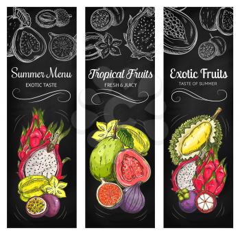 Tropical fruits on chalkboard, vector sketch banners. Exotic tropical meal in chalk sketch on blackboard Durian and guava, mangosteen, carambola and passion fruit, pitaya dragon fruit and ripe figs