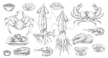 Seafood, sketch food of sea, fish and sushi, vector isolated hand drawn icons. Seafood oyster, mussel, shrimp and crab with salmon steaks, sashimi and caviar, gourmet, cuisine prawn, squid and lobster