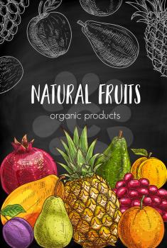 Natural fruits chalkboard sketch banner. Pomegranate, pineapple and plum, orange, peach or nectarine and grape, pear, papaya, guava and apple vector. Tropical fruits, organic garden products poster