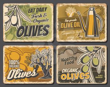 Extra virgin olive oil and green olives, vector vintage retro scratched metal plates. Natural organic extra virgin oil in pitcher jar and olive tree. Agriculture and cuisine cooking