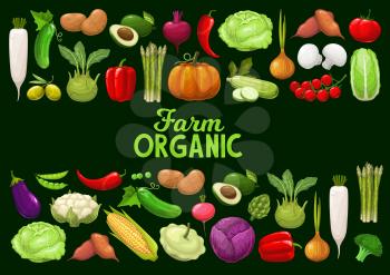 Vegetables, organic farm vector veggies and greenery. Corn, tomato, and squash, cauliflower, broccoli, pumpkin and cabbage, green peas. Farm market production, ecological organic food cartoon poster