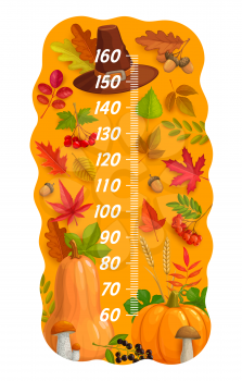Thanksgiving kids height chart with autumn pumpkin and berry harvest. Child growth meter with settler hat, oak acorns and mountain ash, viburnum leaves, pumpkin vegetable and mushroom, wheat ear