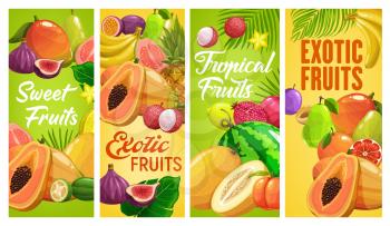Fresh tropical fruits vector pineapple, banana or pomegranate, pear, figs or watermelon with papaya and passion fruit. Lychee, carambola and guava with feijoa or mango tropic fruit cartoon banners set