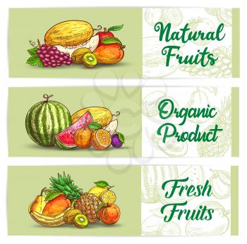 Fresh fruits sketch banners, vector agriculture production melon, grape and kiwi, apple, mango or watermelon. Orange, prune or pineapple with banana and pear, peach, lemon fruits. Farm vegetarian food