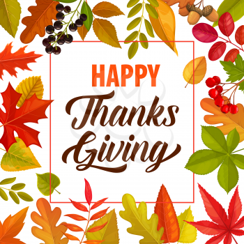 Happy Thanks Giving vector frame with lettering and fallen autumn leaves or berries. Thanksgiving day border, fall poster or greeting card with foliage of maple, oak, birch or rowan, acorn, chokeberry