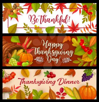 Happy Thanksgiving day vector banners, cornucopia with autumn harvest pumpkin, corn and grapes with mushrooms and falling leaves maple, oak or poplar and birch tree with rowan. Thanks Giving greetings