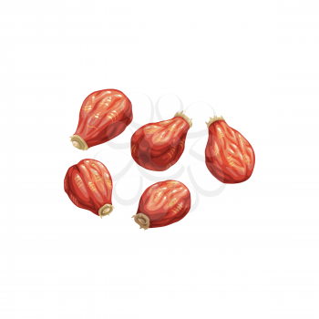 Rose hip dried fruits, dry food snacks vector icon. Dried rose hips, fruity sweets, diet nutrition and vegetarian natural organic food, healthy vegan eating, drinks and dessert ingredient