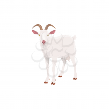 Goat, farm animal cattle icon, livestock and meat food product symbol. Cartoon isolated goat, butcher shop and farm market animal sign
