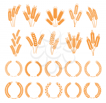Laurel wreath and spikes of wheat, rye, barley, rice and millet. Vector cereal ears icons. Bread bakery yellow wheat stalks and grains. Agriculture farm rye or barley ear spikes in laurel wreath frame
