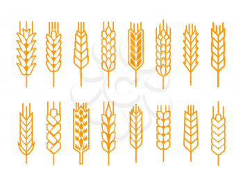 Cereal ear or spike outline icons. Wheat, rye, barley and millet vector natural grains. Yellow plant stalk for bread baking, isolated bakery, harvest and agriculture industry symbols
