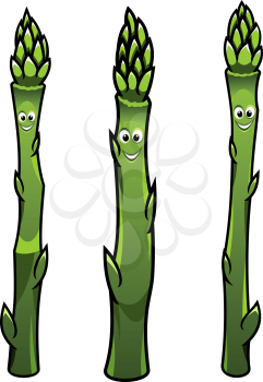 Cartoon illustration of three different green happy smiling asparagus spears standing upright isolated on white