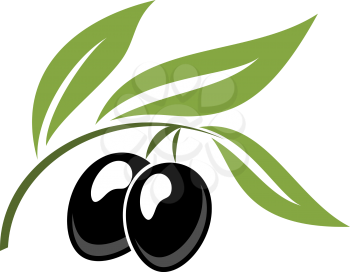 Two ripe black cartoon olives on a leafy green twig for vegetarian food concept design