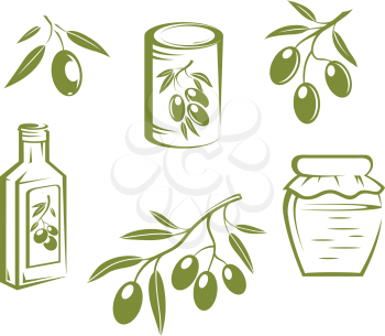 Doodle sketches of fresh healthy olives on twigs, bottled and preserved olives and olive oil
