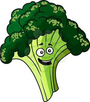 Happy smiling farm fresh green broccoli vegetable for a healthy cooking ingredient, cartoon illustration isolated on white