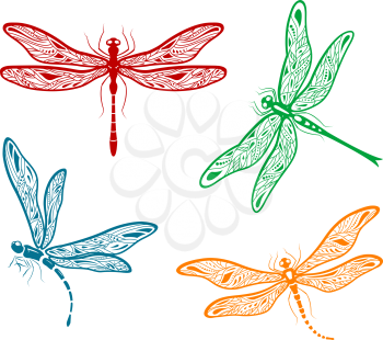 Set of four different pretty dainty dragonfly designs with delicate wings in red, blue, green, and orange colors