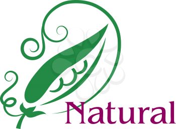 Natural emblem or label with a fresh green pea pod open to reveal the peas with swirling tendrils above the word  Natural