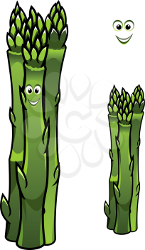 Bunch of fresh green asparagus spears with a happy smiling face, cartoon illustration isolated on white