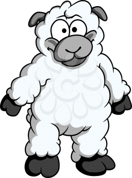 Funny woolly cartoon sheep standing up on its hind legs looking at the viewer isolated on white