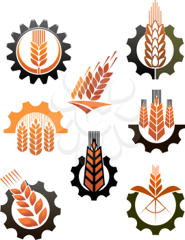 Set of eight different icons depicting industry and agriculture with ripe golden ears of wheat and toothed cogs or ear wheels