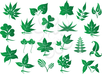 Green forest and field leaves or plants set for ecology and natural logo design